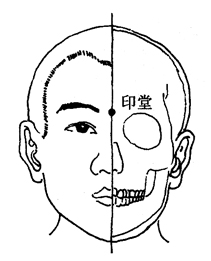 图2-1-8印堂