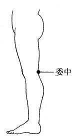 图2-1-13委中