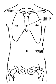 图2-1-15膻中、神阙