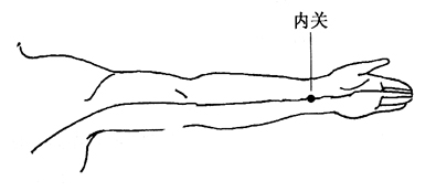 图2-4-5内关