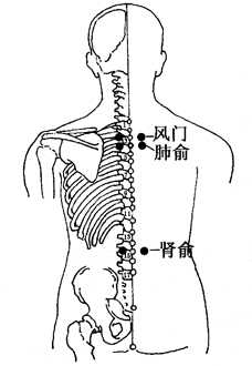 图2-5-1风门、肺俞、肾俞