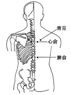 图2-8-1膏肓、心俞、脾俞