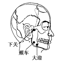 图2-19-10下关、颊车、大迎