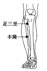 图2-20-4足三里、丰隆