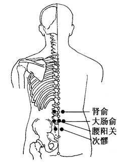 图2-23-1肾俞、大肠俞、腰阳关、次髎