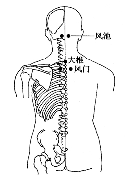 图3-2-1风池、大椎、风门