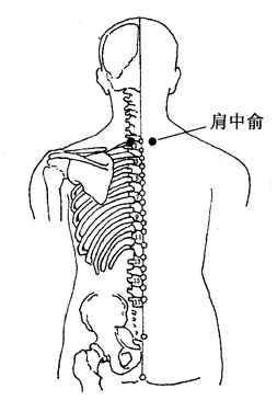 图3-3-2肩中俞