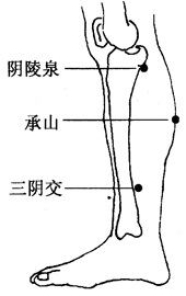 图3-10-3阳陵泉、承山、三阴交