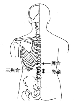 图4-5-3脾俞、三焦俞、肾俞