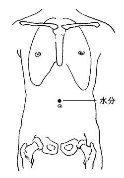 图4-5-4水分