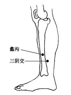 图5-1-4 蠡沟、三阴交