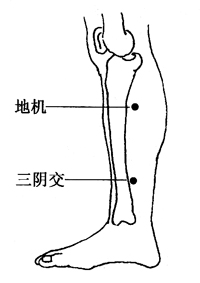 图5-1-6地机、三阴交