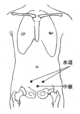 图5-2-3水道、中极