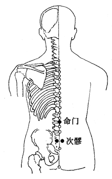 图5-4-1命门、次髎