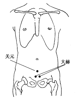 图5-6-2关元、大赫