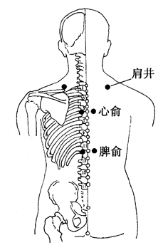 图5-8-1肩井、心俞、脾俞