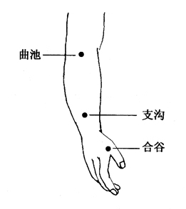 图7-3-2曲池、支沟、合谷