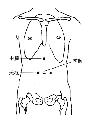 图8-1-1中脘、神阙、天枢