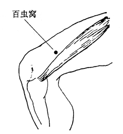 图8-3-2百虫窝