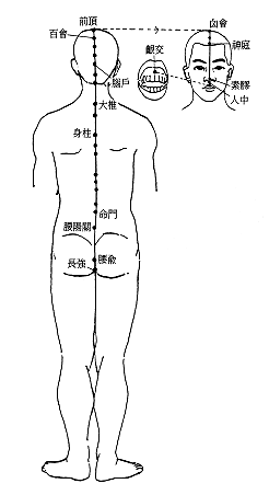 奇经督脉经筋图 