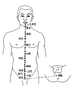 奇经任脉经筋图 