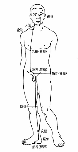 奇经阴蹻脉经筋图 