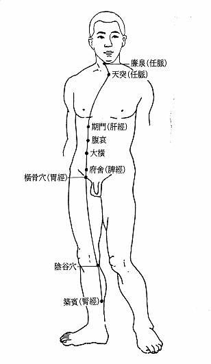 奇经阴维脉经筋图 