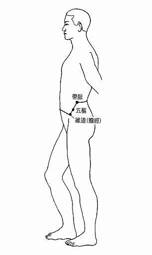 奇经阴带脉经筋图 