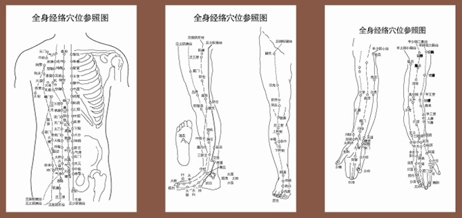 全身经络穴位参照图