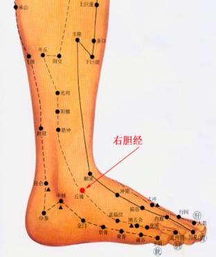 右胆经