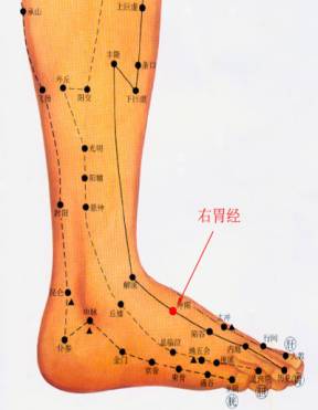 右胃经