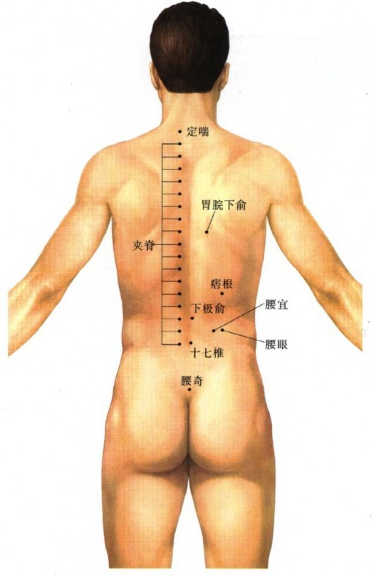 背部经外穴
