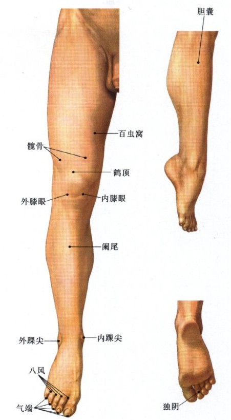 下肢经外穴