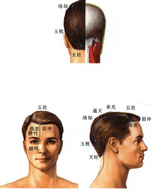 足太阳膀胱经穴