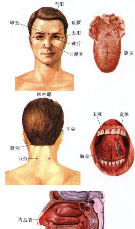 头颈部经外穴