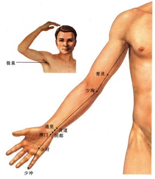 手少阴心经穴