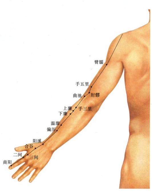 手阳明大肠经穴