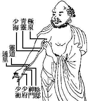 手少阴心经图谱