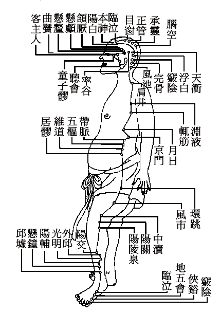 足少阳胆经图谱