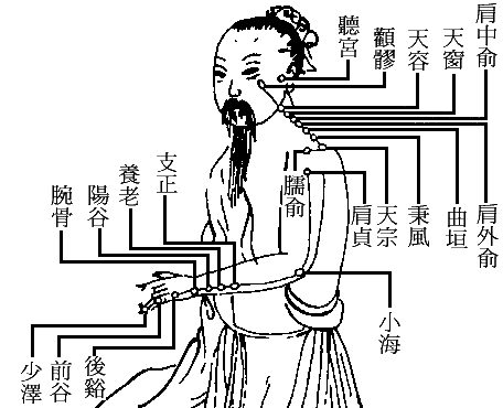 手太阳小肠经图谱