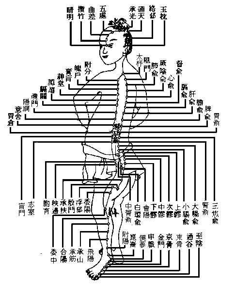 足太阳膀胱经图谱