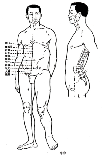 冲脉图示