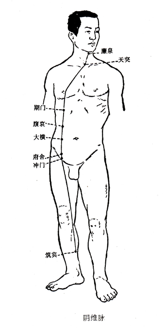 阴维脉图示