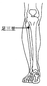 图2-3-6