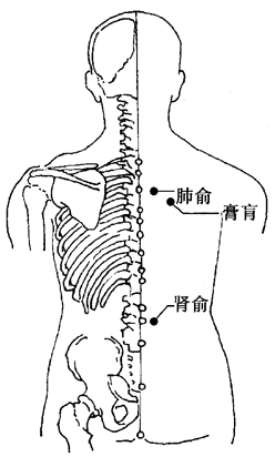 图2-4-1