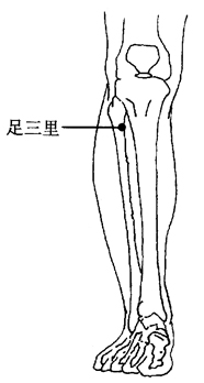 图2-4-5