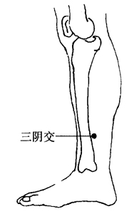 图2-6-4