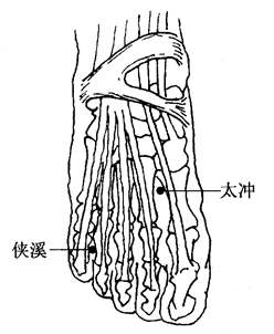 图2-12-5