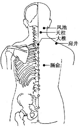 图3-1-1