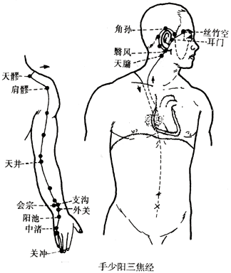 手手少阳三焦经图